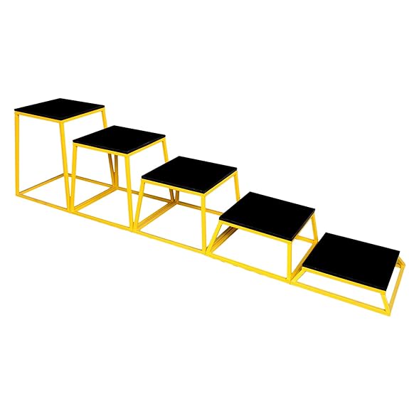 RXN Metal Plyo Box Jumping Platform Table Gym Stepper Board Fitness Training Exercise Equipment for Home & Gym Fitness - (MPLB-4)