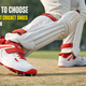 How to Choose the Best Cricket Shoes for Men
