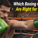 Which Boxing Gloves Are Right for You? All Types Explained for Beginners